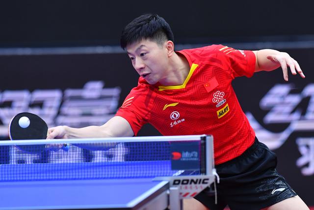 猫咪斗恶龙 猫咪斗恶龙